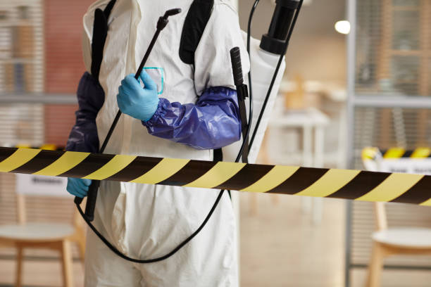 Professional Sewage Cleanup technician working in Rockford, IL